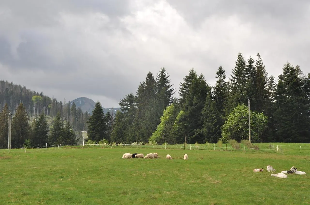Apartamenty Jszi Zakopane Apartment