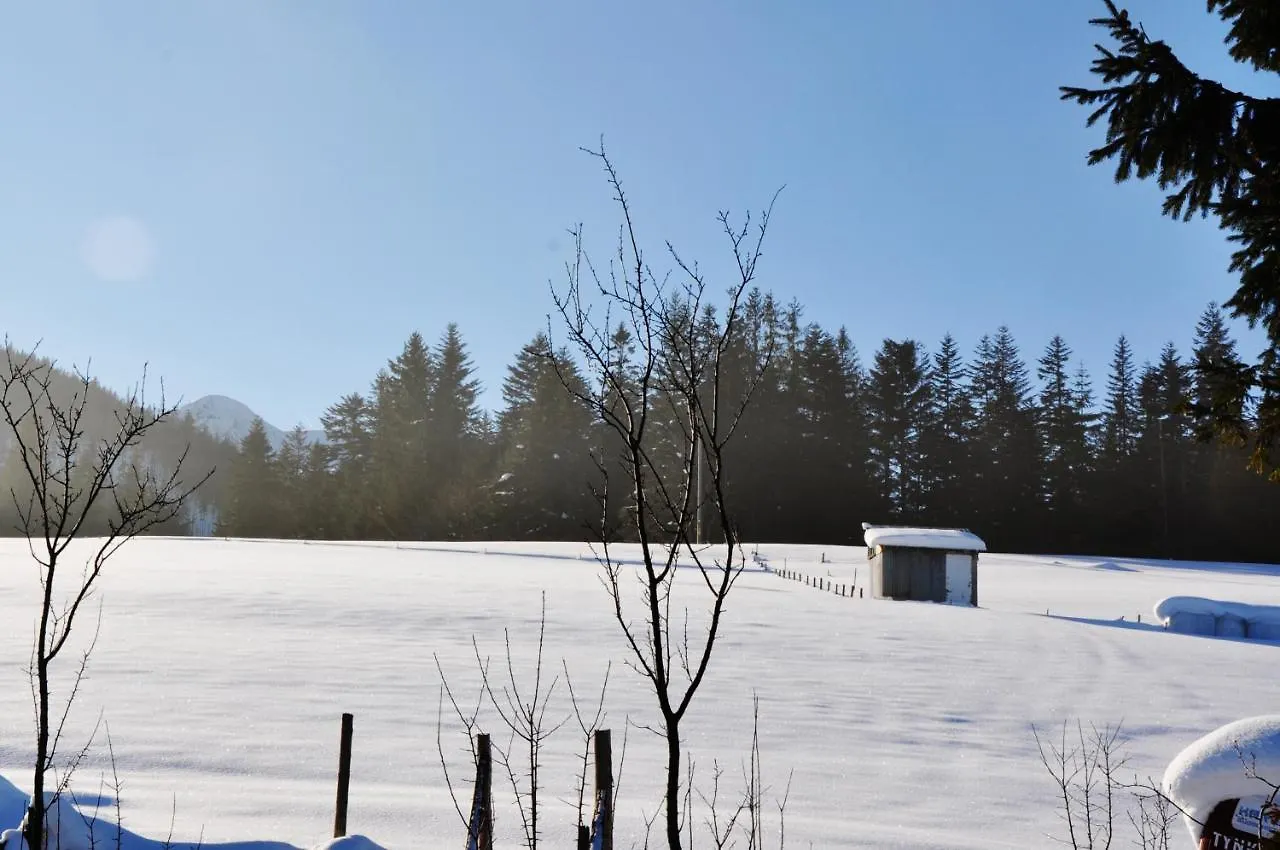 Apartamenty Jszi Zakopane